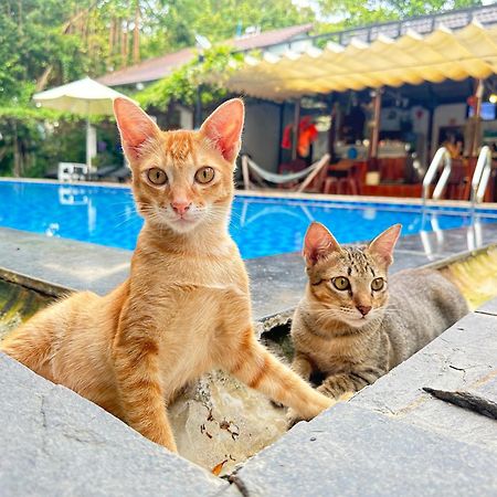 Villa Have Fun Phu Quoc Esterno foto