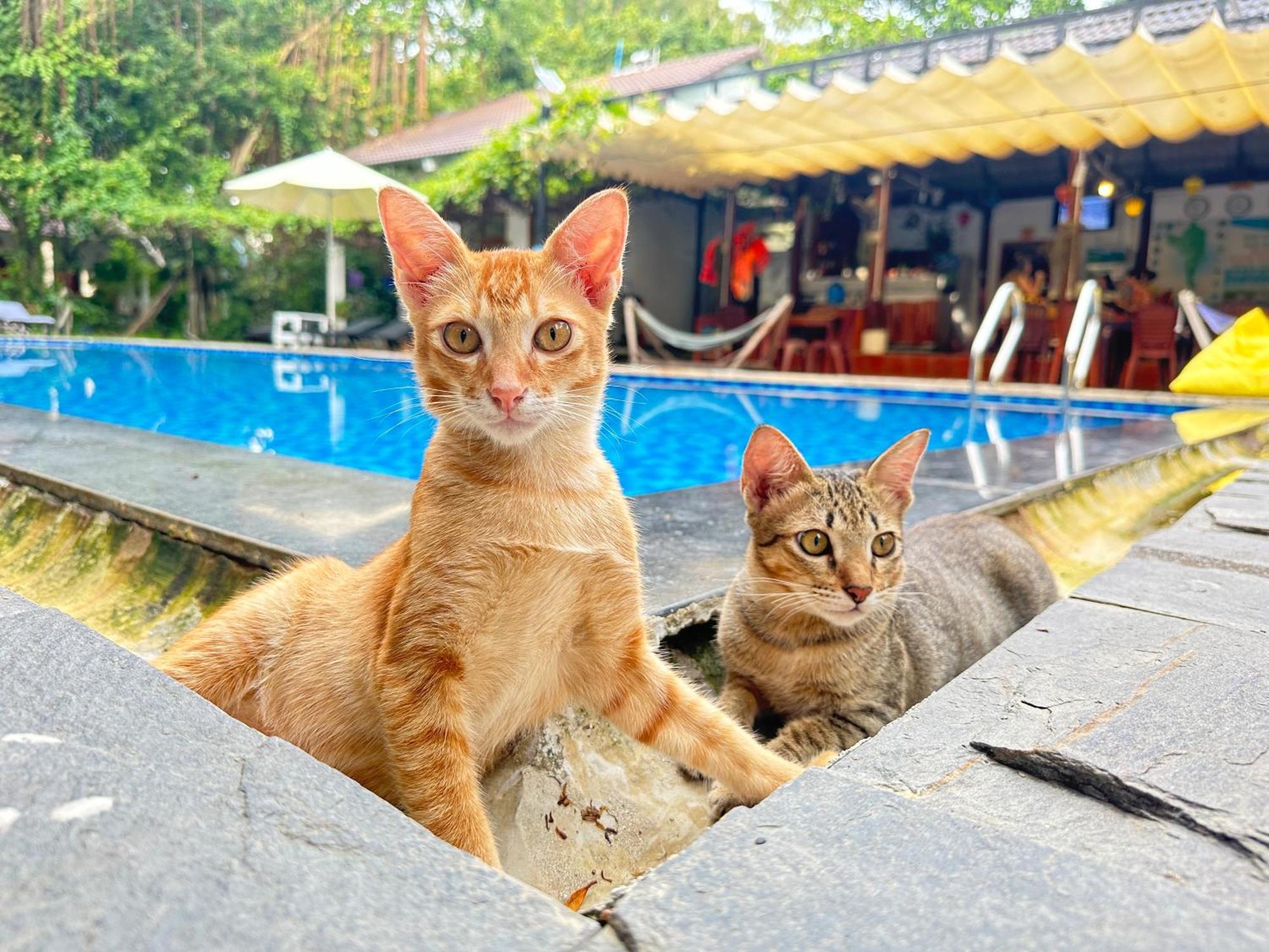 Villa Have Fun Phu Quoc Esterno foto